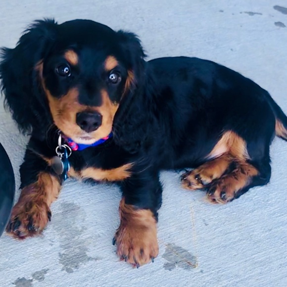 ***NOT FOR SALE*** - Picture 5 of 8